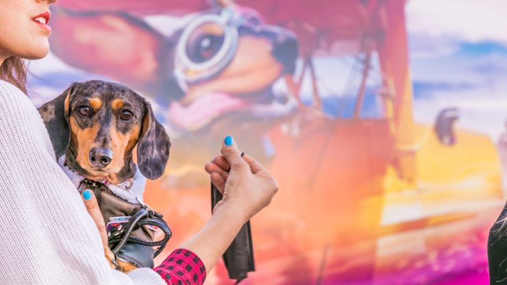 A caring moment unfolds as a woman holds her dog, embodying compassion against a vibrant backdrop.