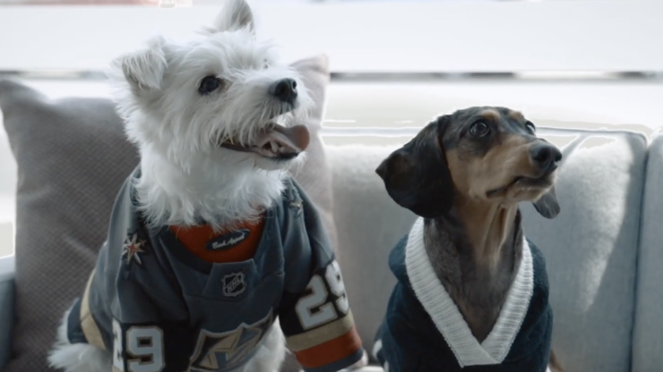 Two dogs, dressed in team jerseys, sit together on a soft couch, exuding warmth and companionship.