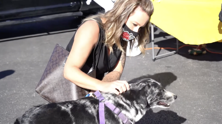 A compassionate interaction between a woman and a dog, reflecting warmth and community support.