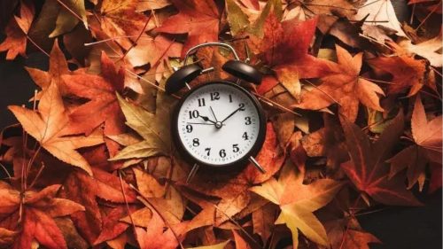 clock laying on leaves