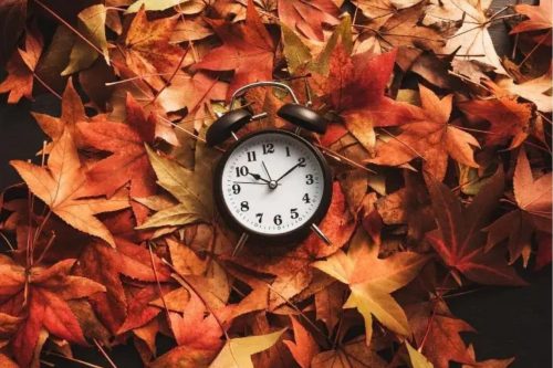 clock laying on leaves