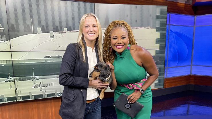 Two women, warmly smiling, advocate for pet adoption in a vibrant studio setting.