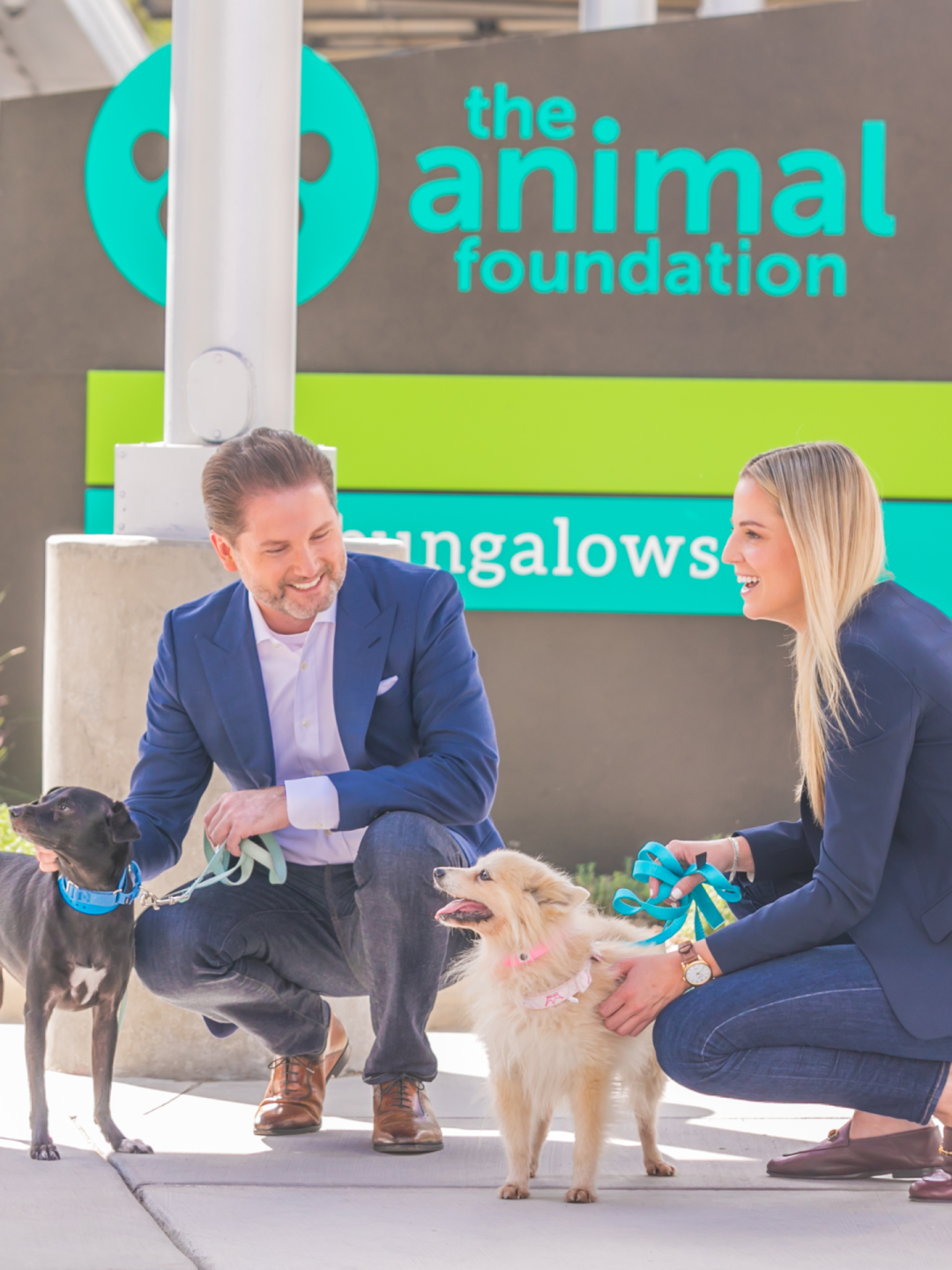 A caring couple engages with two dogs outside an animal foundation, embodying compassion and advocacy.