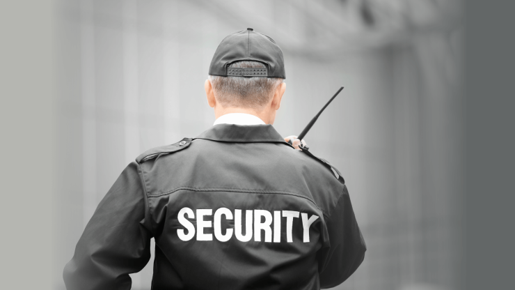 A security professional stands alert, embodying vigilance and readiness in a protective environment.