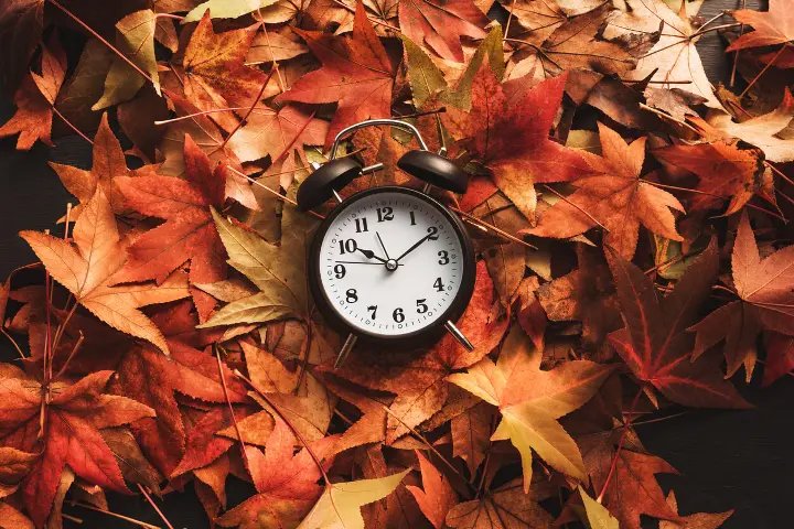 An alarm clock rests among vibrant autumn leaves, symbolizing the passage of time and care.