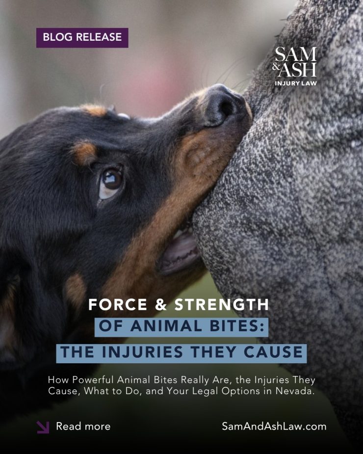 Think a dog bite is “just a bite”? Think again. ðÂÂÂÂ¾

Some animals can crush bone. Others cause lifelong damage in seconds.

We broke down the real bite force of animals, the injuries they cause, and what your legal options are in Nevada if it happens to you.

Don’t wait until it’s too late! Know your rights.

ðÂÂÂÂÂÂ Read now at https://samandashlaw.com/resources/animal-bite-force-strength-how-powerful-animal-bites-really-are-the-injuries-they-cause-what-to-do-and-your-legal-options-in-nevada/ or Link In Bio